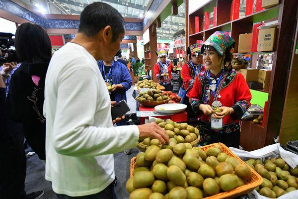 从中部农博会变迁看我国农业高质量发展